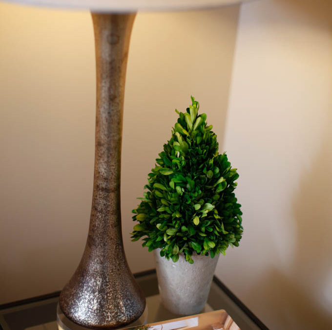 Warm lighting in the Medicor office
