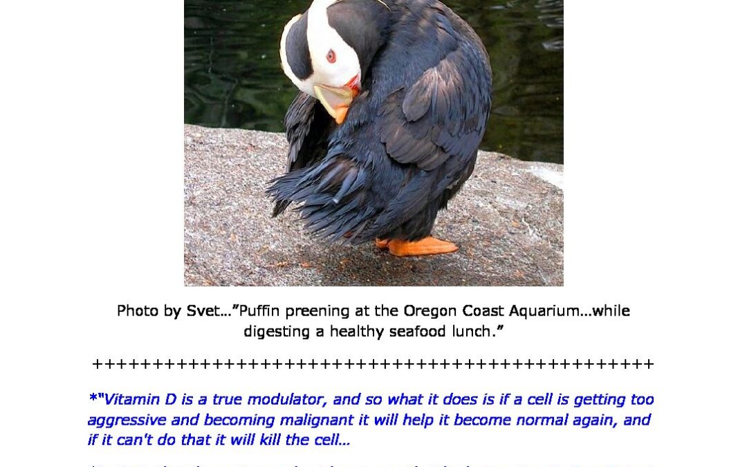 Lymphoma Survival Newsletter Sep 2008