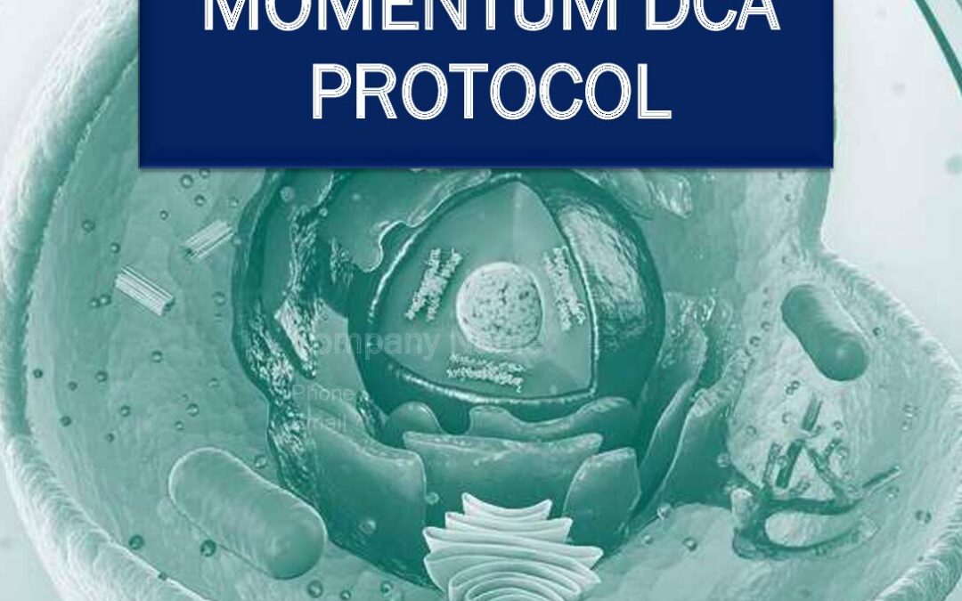 Momentum DCA Brochure