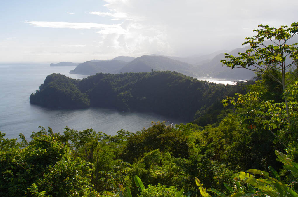 Beautiful mountains of Trinidad