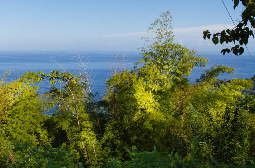 View from the mountains