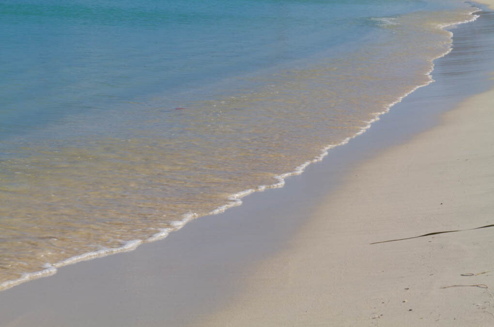 Sandy beach in sunny Aruba