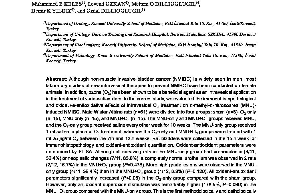 ozone-enhances-chemo-bladder-cancer
