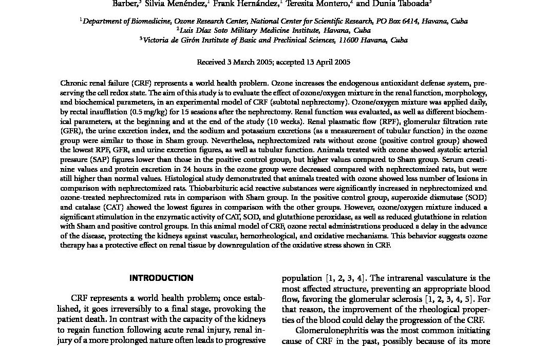 ozone-increase-antioxidant-enzymes-slows-renal-failure